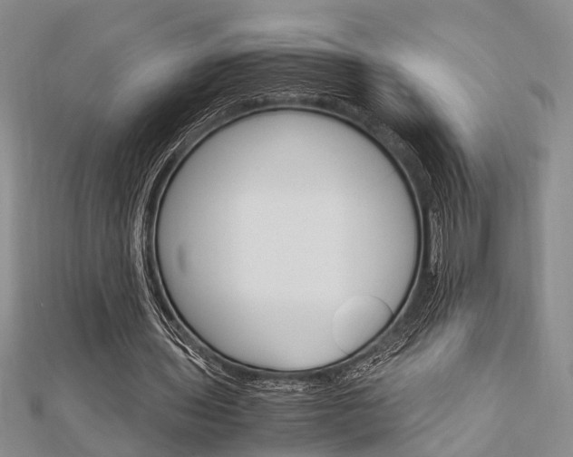X0000113150435200909040935
