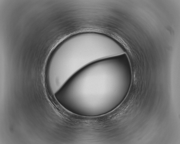 X0000113150436200909040935