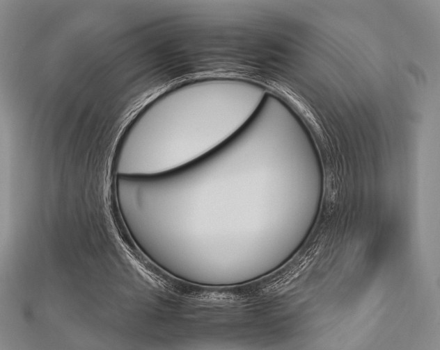 X0000113150437200909040935
