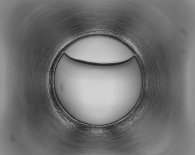X0000113150439200909040935