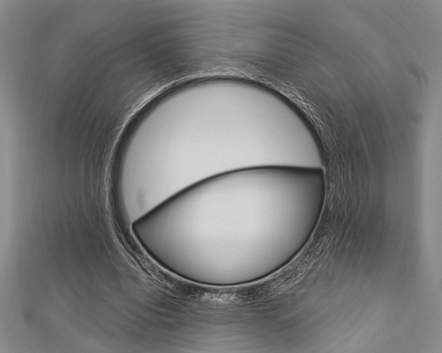 X0000113150440200909040935