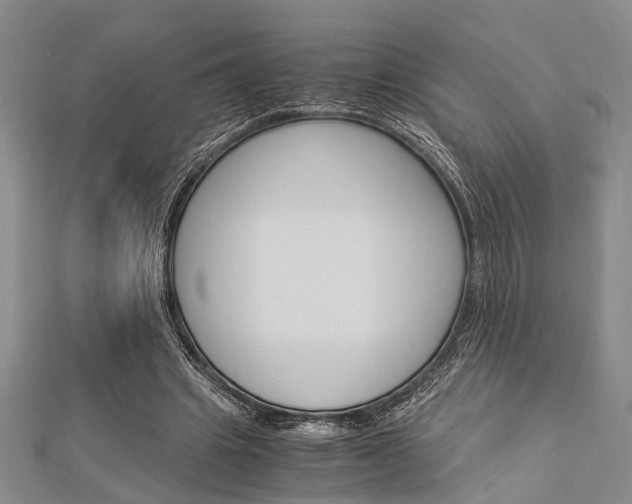 X0000113150441200909040935