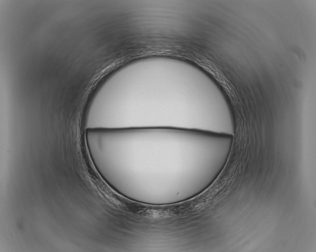 X0000113150442200909040935