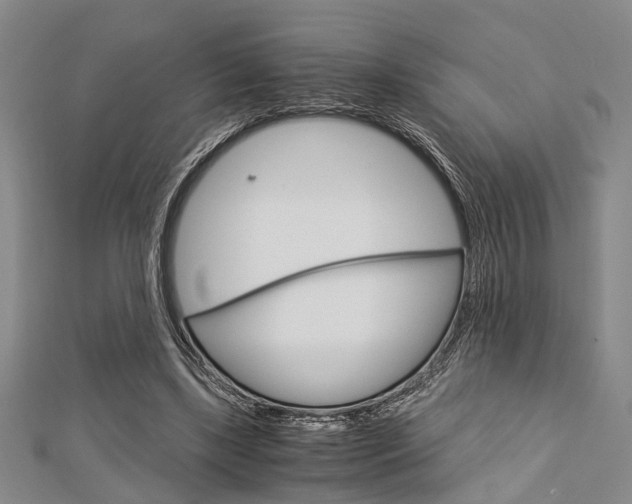 X0000113150443200909040935