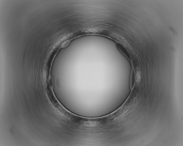 X0000113150444200909040935