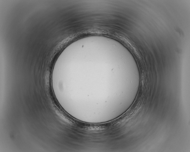 X0000113150445200909040935
