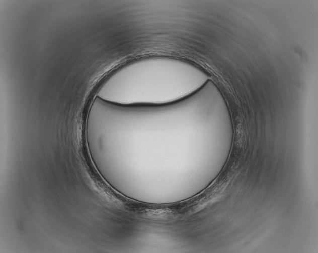 X0000113150446200909040935
