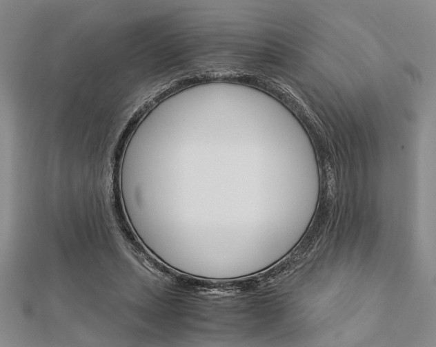 X0000113150447200909040935