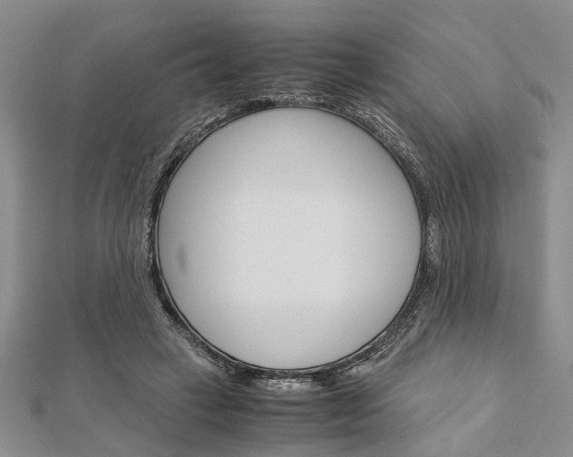 X0000113150449200909040935