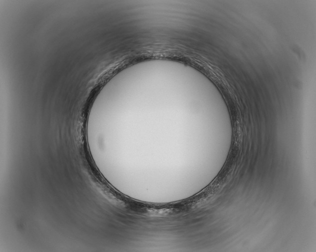 X0000113150450200909040935
