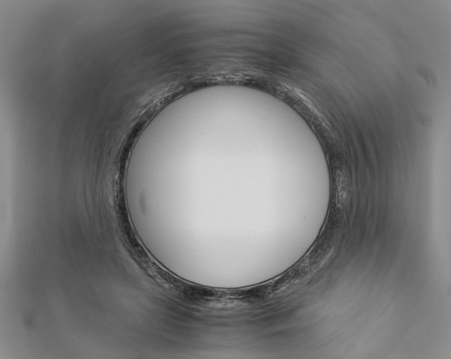 X0000113150451200909040935