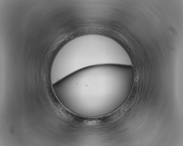 X0000113150452200909040935