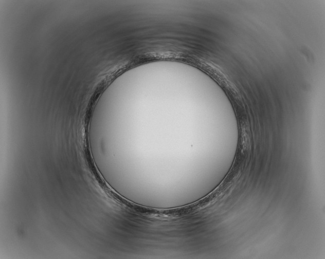 X0000113150453200909040935