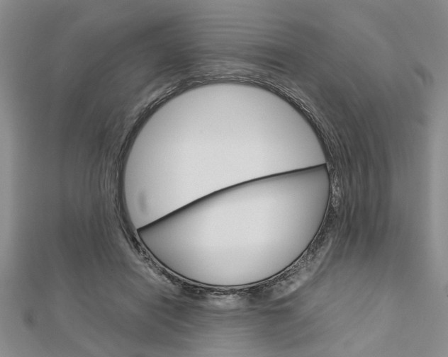 X0000113150454200909040935
