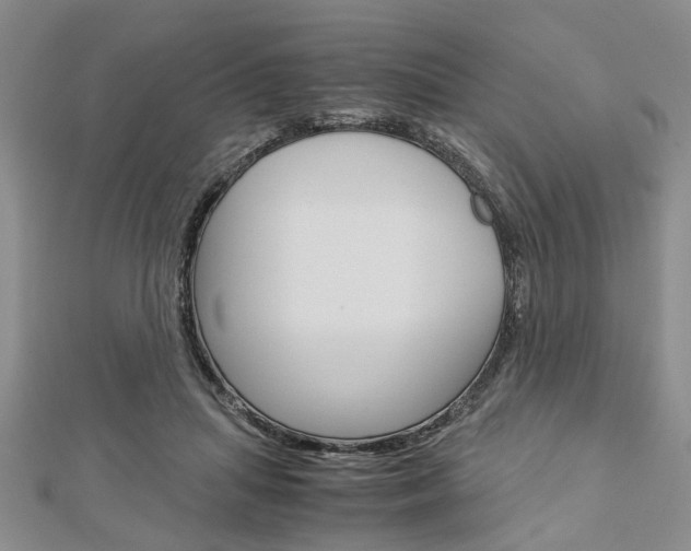 X0000113150455200909040935