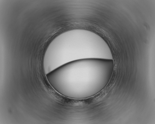 X0000113150456200909040935