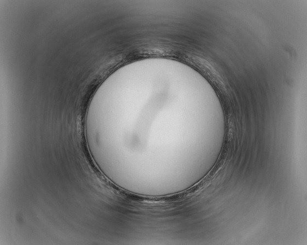 X0000113150457200909040935