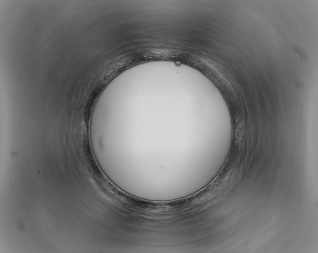 X0000113150459200909040935