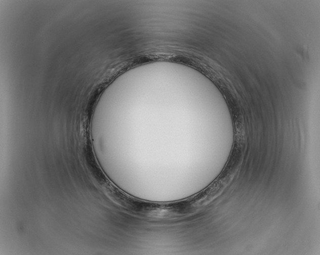 X0000113150460200909040936