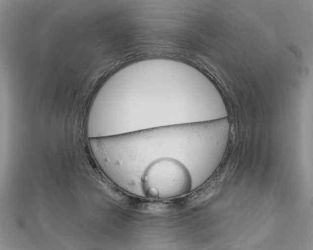 X0000113150462200909040936