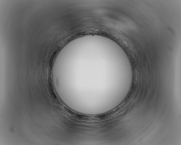 X0000113150463200909040936