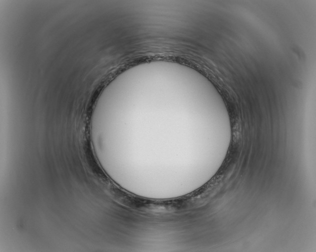 X0000113150464200909040936