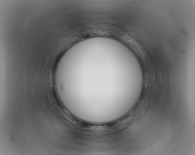 X0000113150465200909040936