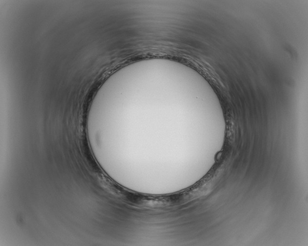 X0000113150466200909040936