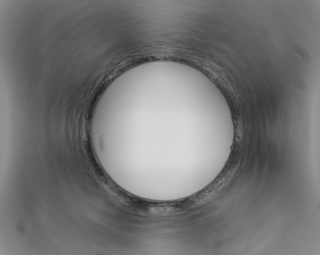 X0000113150470200909040936