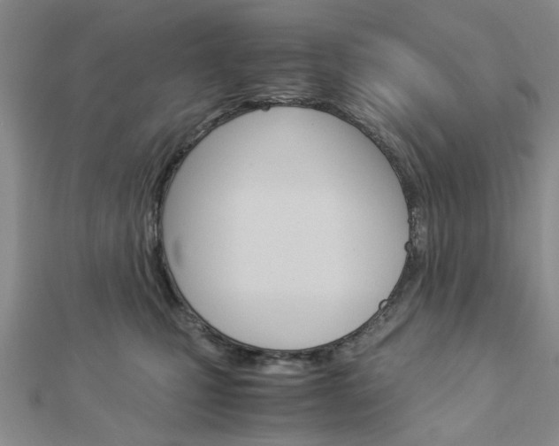 X0000113150471200909040936