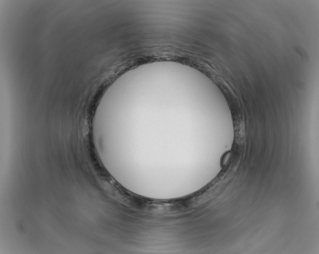 X0000113150472200909040936