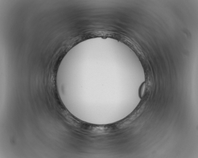 X0000113150473200909040936