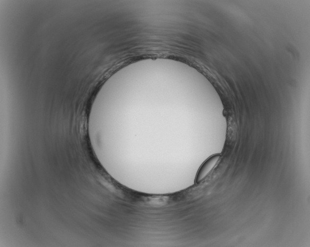 X0000113150474200909040936