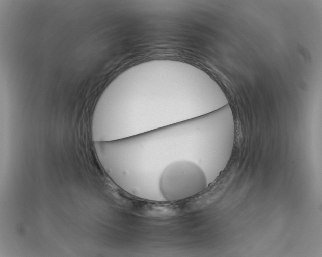 X0000113150475200909040936
