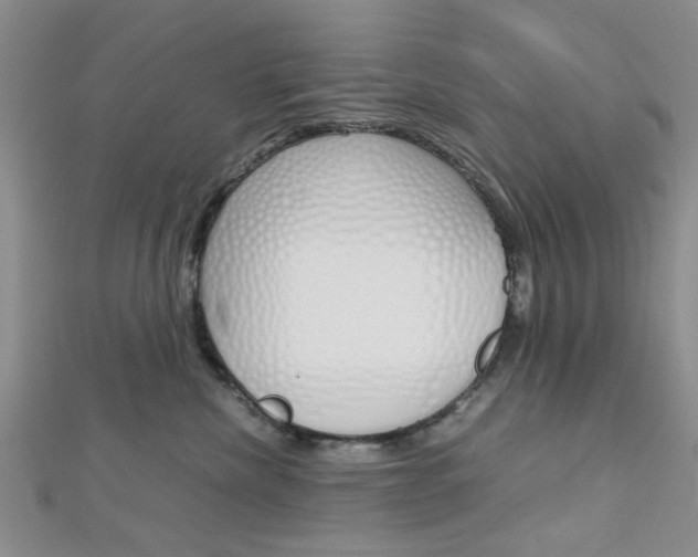 X0000113150476200909040936
