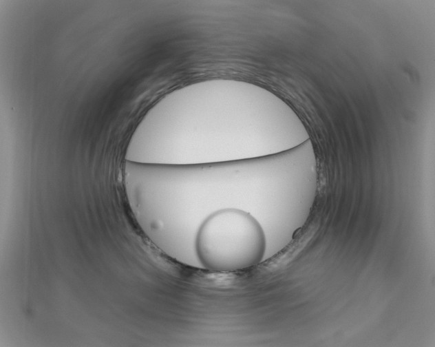X0000113150478200909040936