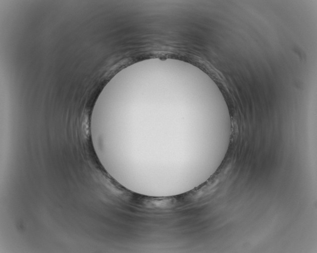 X0000113150479200909040936