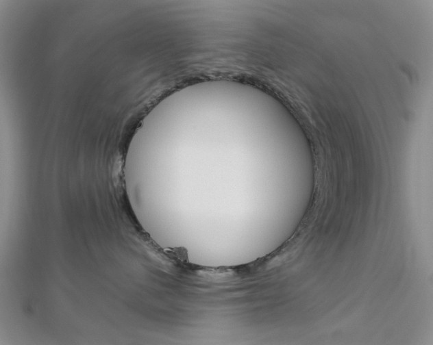 X0000113150480200909040936