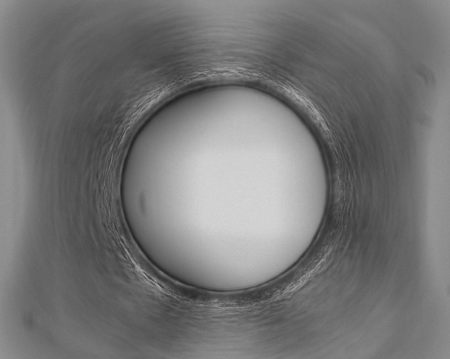 X0000113150481200909040935
