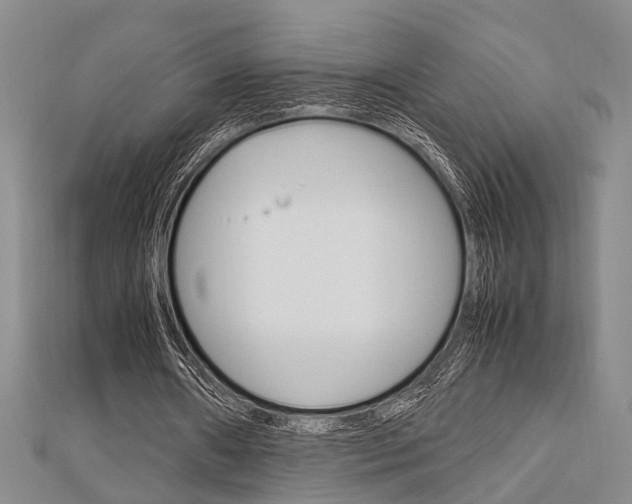 X0000113150482200909040935