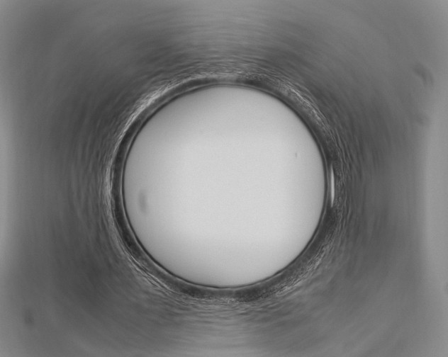 X0000113150483200909040935
