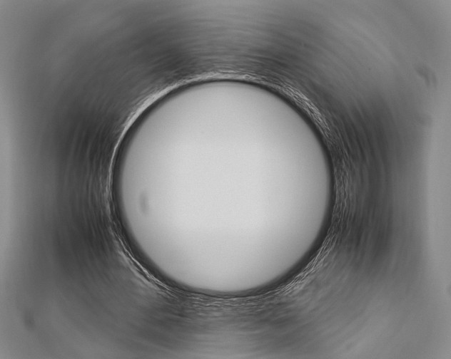 X0000113150484200909040935