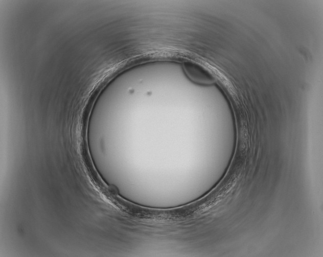 X0000113150485200909040935