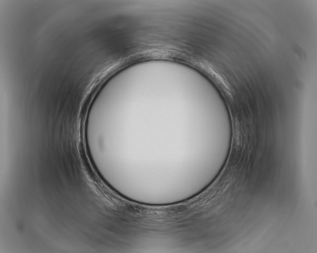 X0000113150486200909040935