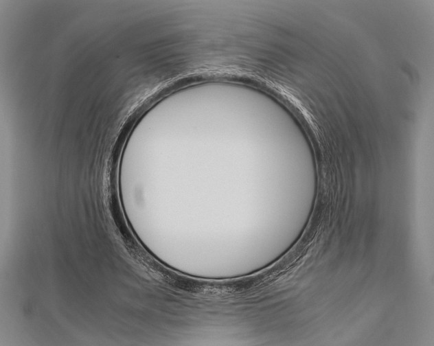 X0000113150487200909040935