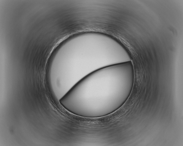 X0000113150488200909040935