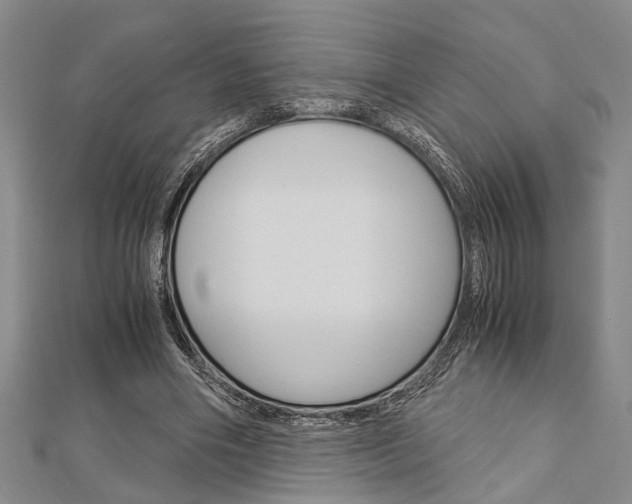 X0000113150490200909040935