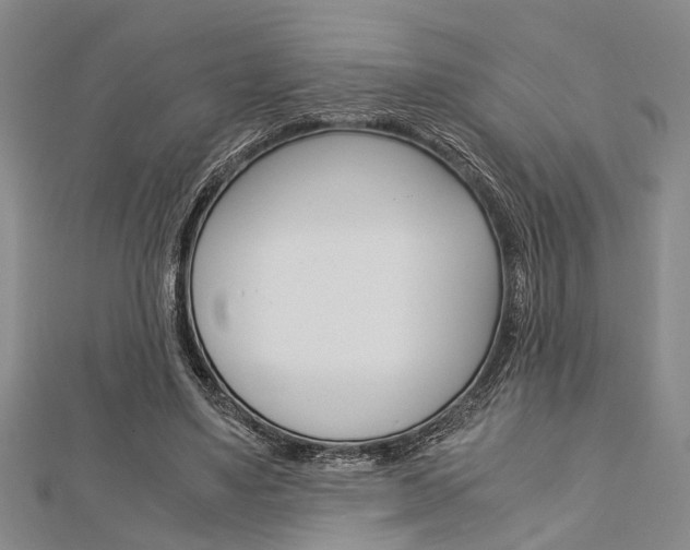 X0000113150491200909040935