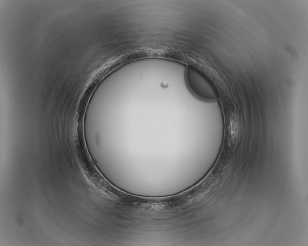 X0000113150492200909040935