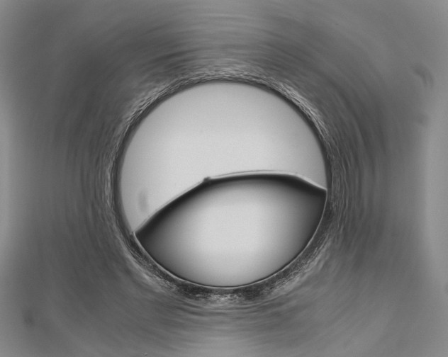 X0000113150493200909040935